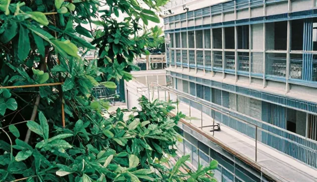 互动教学平台性能优化的关键考量点